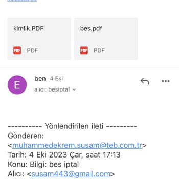 NN Hayat ve Emeklilik Bireysel Emeklilik İptal