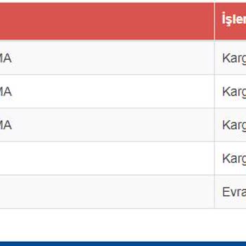 Sürat Kargo'nun Getirmeyip Geciktirdiği Kargo
