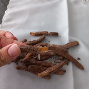 Rossmann'dan Aldığım Çikolatalar Bozuk Çıktı