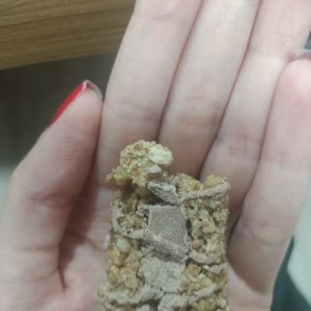 Nestle Nesfit Tam Tahıllı Fındık Ve Sütlü Çikolatanın Bozuk Olması