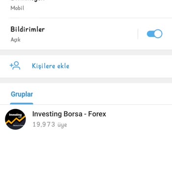 Regal Global Market Yatırım Hüsranı Ve İşlem Sorunları