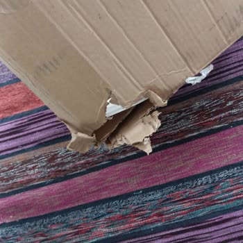 Yetkili Servis Ve Teknosa İlgisizliği