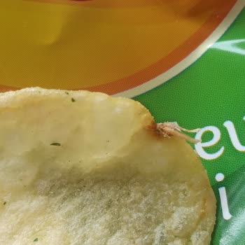 Lays Cipsten Değişik Bir Şey Çıktı