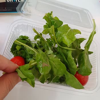 Kırçiçeği Restaurant Fiyasko Sipariş. Çamurlu Salata