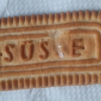 BİM'den Aldığım Bifa Süsse Bisküvinin İçinden Plastik Madde Çıkması