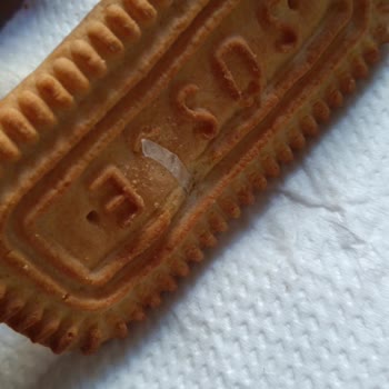 BİM'den Aldığım Bifa Süsse Bisküvinin İçinden Plastik Madde Çıkması