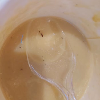 City's İstanbul Pidem Şubesi Böcekli Mercimek Çorbası Satıyor