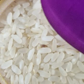 Getir Kurtlu Pirinç Extra Protein