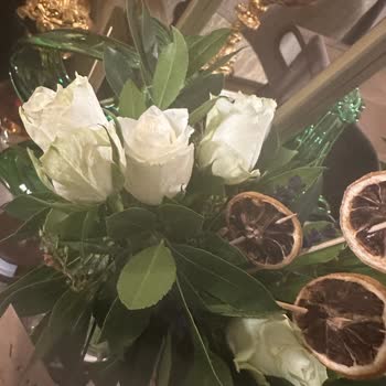 ÇiçekSepeti Çöpe Atılacak Çiçek Bana Gelmiş