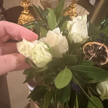 ÇiçekSepeti Çöpe Atılacak Çiçek Bana Gelmiş