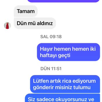 Elbisem Nişantaşı Ürün iki üç hafta sonra gönderildi