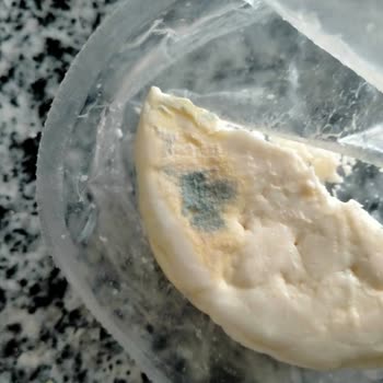 Bahçıvan Gurme Beyaz Peynirde Küflenme