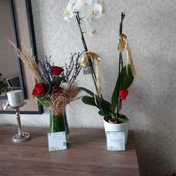 Çiçek Sepeti Kırık Çiçek Gönderdi