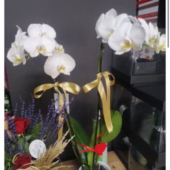 Çiçek Sepeti Kırık Çiçek Gönderdi