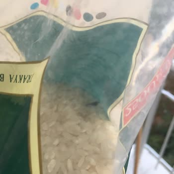 Duru Bulgur Osmancık Pirinçte Böcek