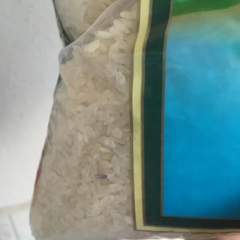 Duru Bulgur Osmancık Pirinçte Böcek