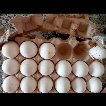 BİM'den Yumurta Aldım. Eksik Çürük Ve Kokusu Kötüydü