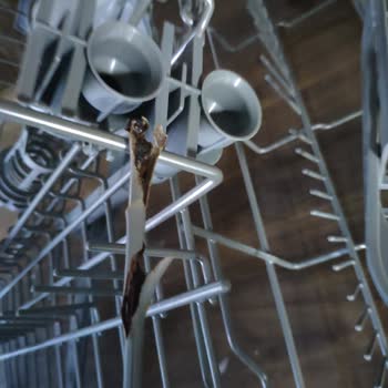 Franke Bulaşık Makinesi Pas