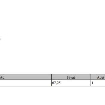 Voidu Oyun Kütüphaneme Gelmedi