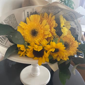 ÇiçekSepeti Ve Yaşattıkları Mağduriyet