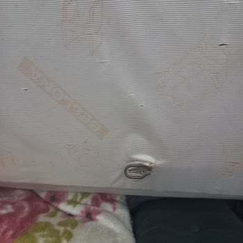 Bellona Evimizin Ortasındaki Utanç Tablosu