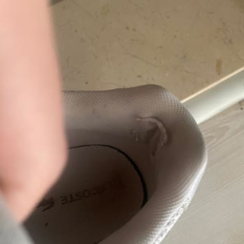 Lacoste Ankamall Mağazasından Ayakkabı
