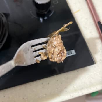 Yurt Konserve Yaprak Sarma İçi Pişmemişti