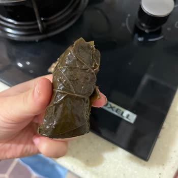 Yurt Konserve Yaprak Sarma İçi Pişmemişti