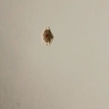 Altus Televizyon Aldığımda Pişmanım