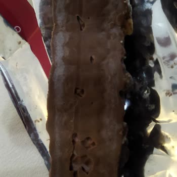 Tadelle Maxinut Hayal Kırıklığı
