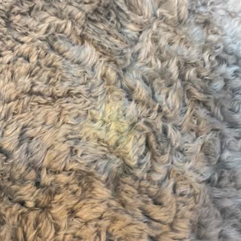 Tepe Halı Yıkama Şikayeti Hiç Memnun Değiliz