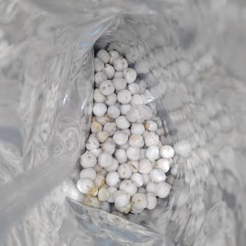 Çerezya Üründen Taş Çıktı.