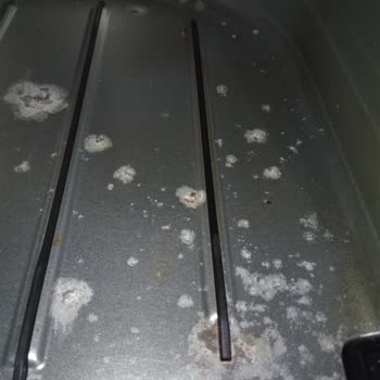 PHILIPS Ev Aletleri Philips XXL Airfryer Paslandı