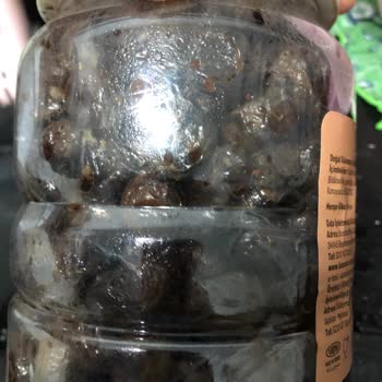 Kaanlar Zeytin Bozuk Çıktı.