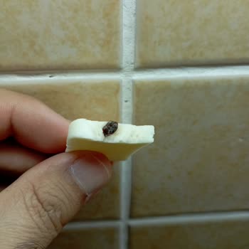 Torku Kadar Peynir Yabancı Madde Çıkması