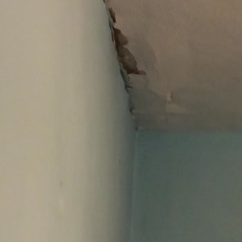 Allianz Sigorta'nın Konut Hasarı Konusundaki İlgisizliği