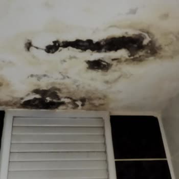 Allianz Sigorta'nın Konut Hasarı Konusundaki İlgisizliği