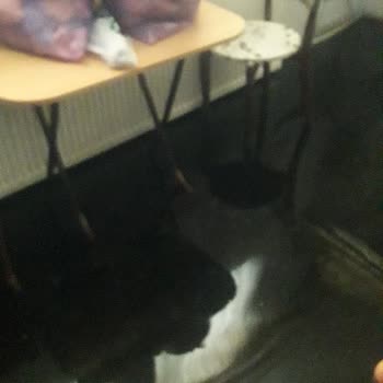 İBB - İstanbul Büyükşehir Belediyesi Sel Baskını