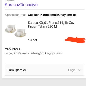 N11 Ve Karaca Firması Ürünümü Yollamıyor!