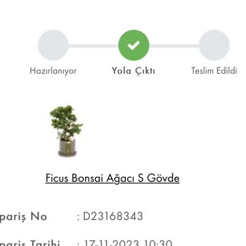 Taze Çiçek (tazecicek.com) Ürünü Teslim Etmiyor