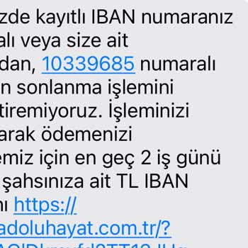 Anadolu Hayat Emeklilik Otomatik Katılım BES