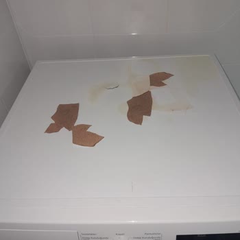 Siemens Ev Aletleri Kurutma Makinesi Boya Kalkmaları