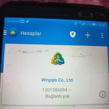 Winpips Yatırım Danışmanı Mağduriyeti