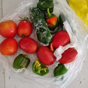 Samsung Buzdolabı Donma ve Karlanma Yapıyor