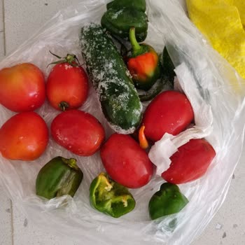 Samsung Buzdolabı Donma ve Karlanma Yapıyor