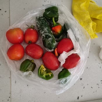 Samsung Buzdolabı Donma ve Karlanma Yapıyor