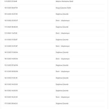 Zara Zamanında Gelmeyen Kargonun İadesi Ve Para İademin Yapılmaması