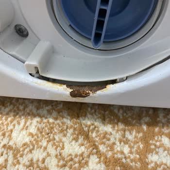 Profilo CMU12T90TR Çamaşır Makinesi Paslanma Ve Sesli Çalışma