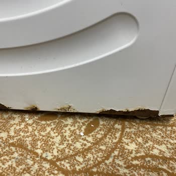 Profilo CMU12T90TR Çamaşır Makinesi Paslanma Ve Sesli Çalışma