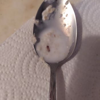 Eti Lifalif Çamur Ve Kurt Çıktı